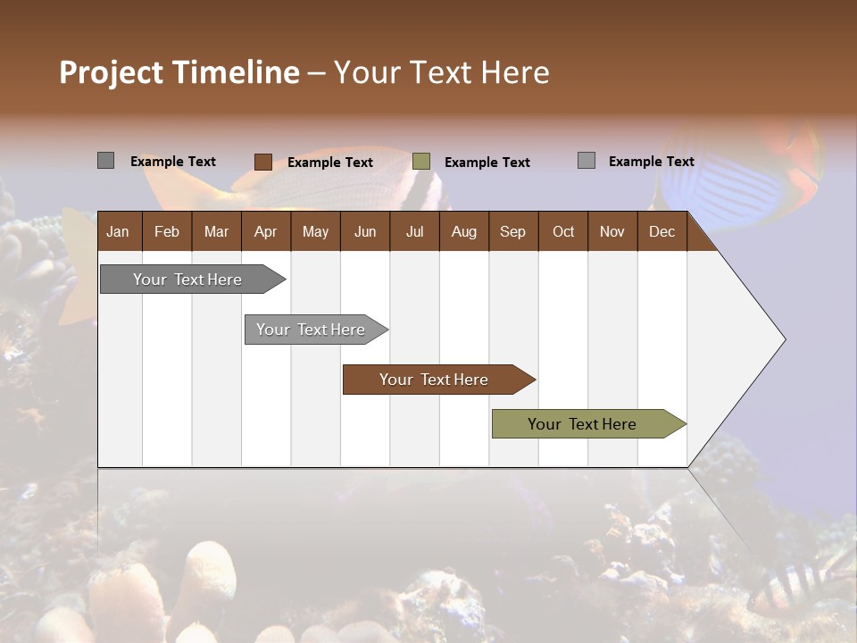 Underwater Coral Reef PowerPoint Template