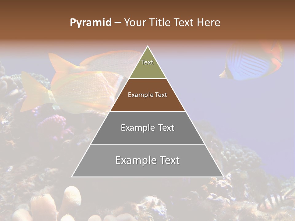 Underwater Coral Reef PowerPoint Template