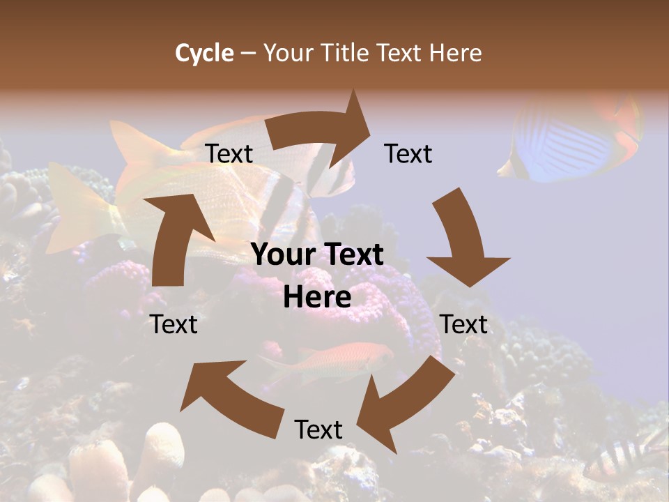 Underwater Coral Reef PowerPoint Template