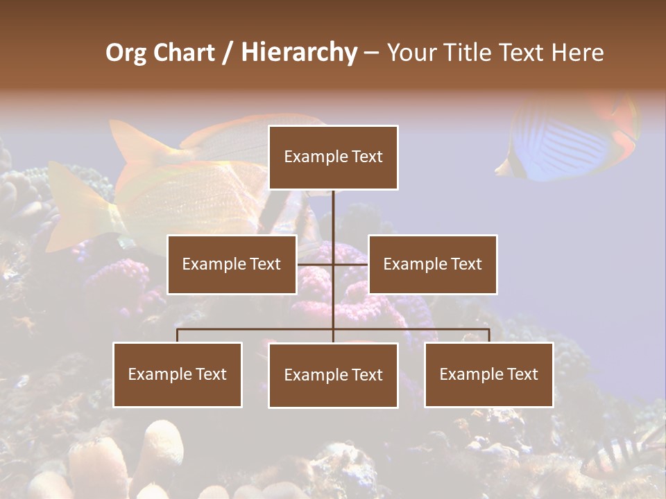 Underwater Coral Reef PowerPoint Template