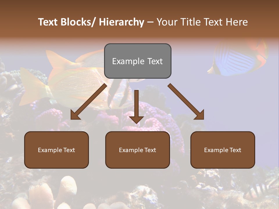 Underwater Coral Reef PowerPoint Template