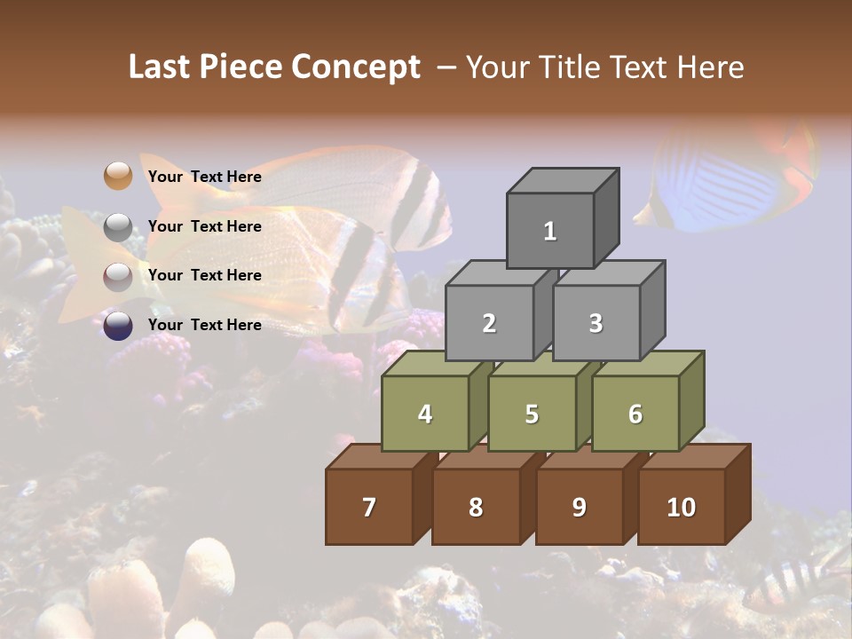 Underwater Coral Reef PowerPoint Template