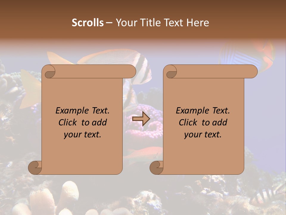 Underwater Coral Reef PowerPoint Template