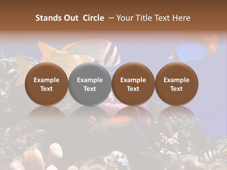 Underwater Coral Reef PowerPoint Template