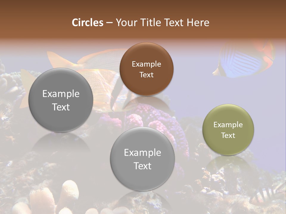 Underwater Coral Reef PowerPoint Template