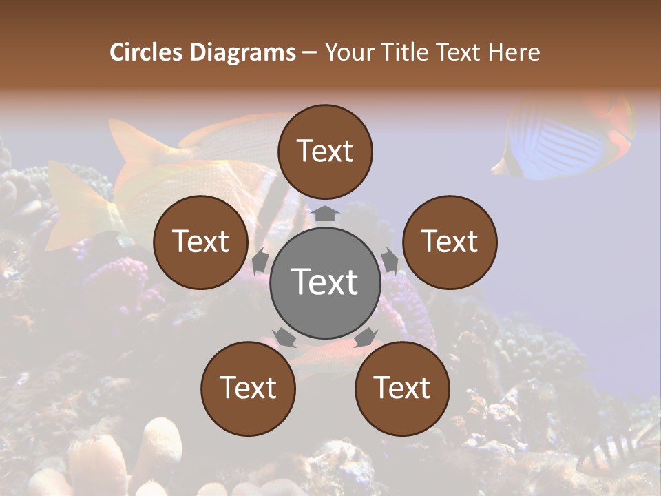 Underwater Coral Reef PowerPoint Template