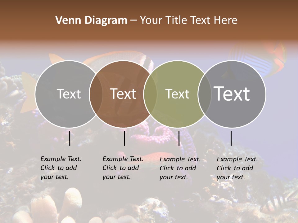 Underwater Coral Reef PowerPoint Template