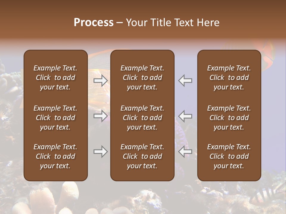 Underwater Coral Reef PowerPoint Template