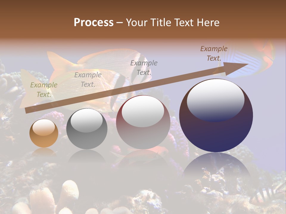 Underwater Coral Reef PowerPoint Template