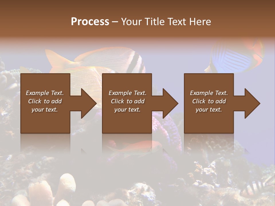 Underwater Coral Reef PowerPoint Template