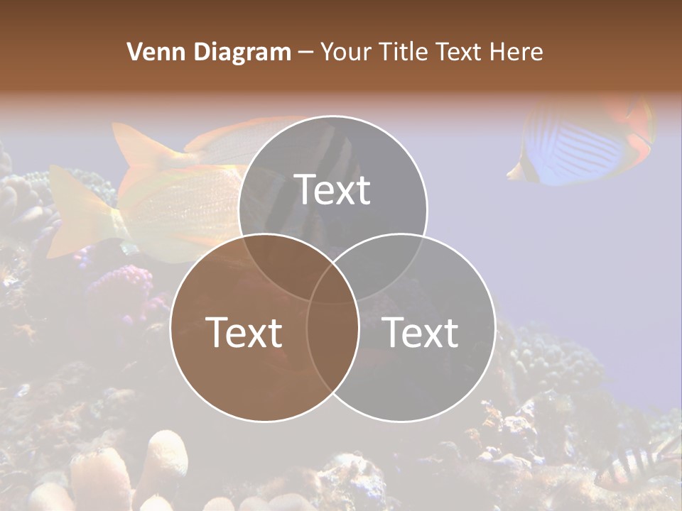 Underwater Coral Reef PowerPoint Template