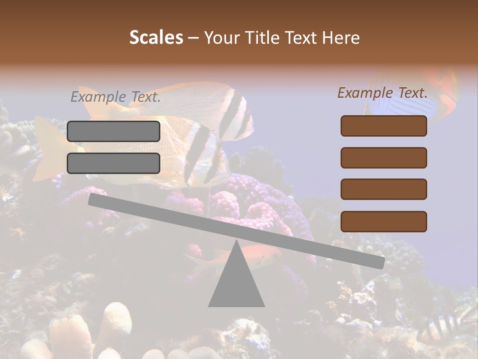 Underwater Coral Reef PowerPoint Template