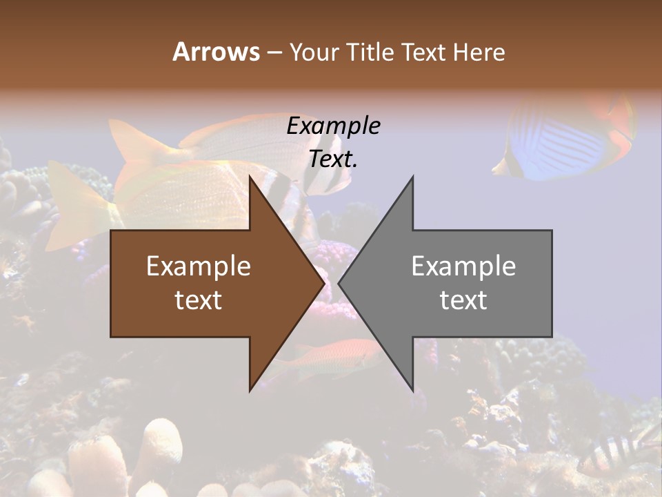 Underwater Coral Reef PowerPoint Template