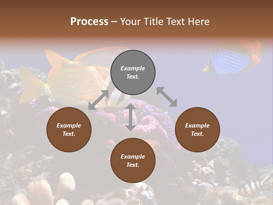 Underwater Coral Reef PowerPoint Template