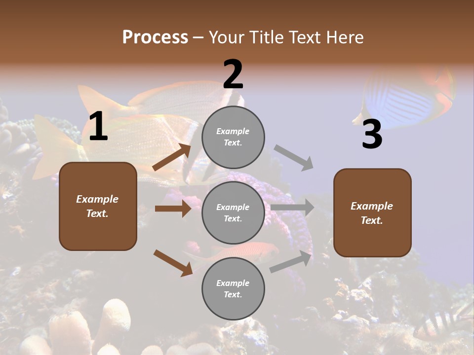 Underwater Coral Reef PowerPoint Template