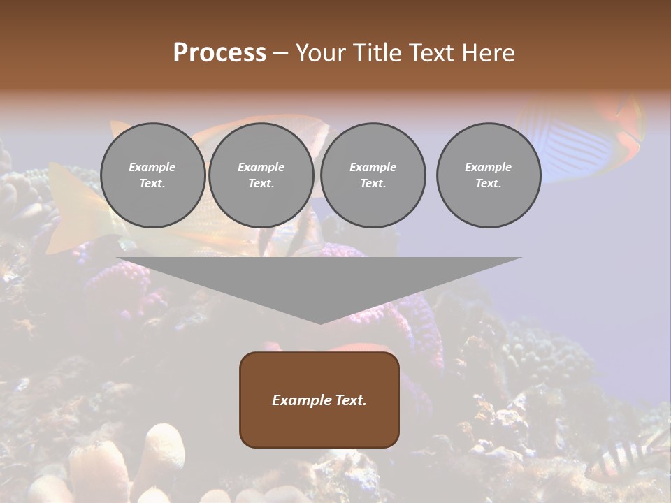 Underwater Coral Reef PowerPoint Template