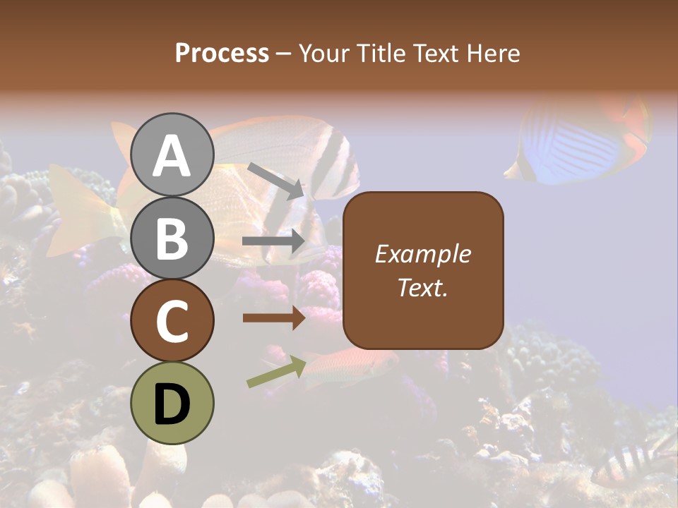 Underwater Coral Reef PowerPoint Template