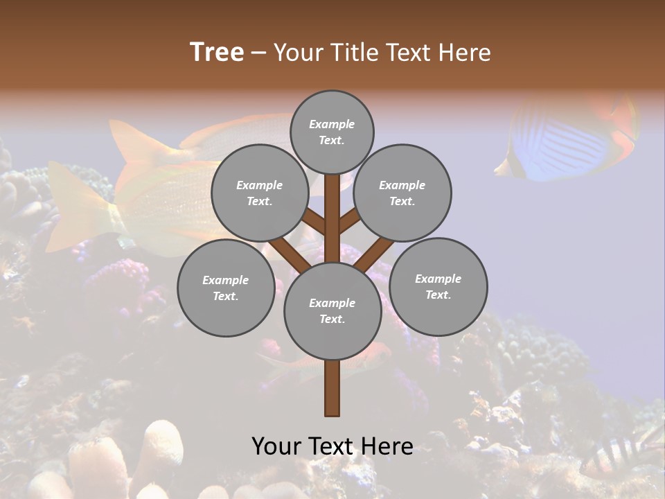 Underwater Coral Reef PowerPoint Template