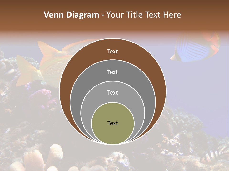 Underwater Coral Reef PowerPoint Template