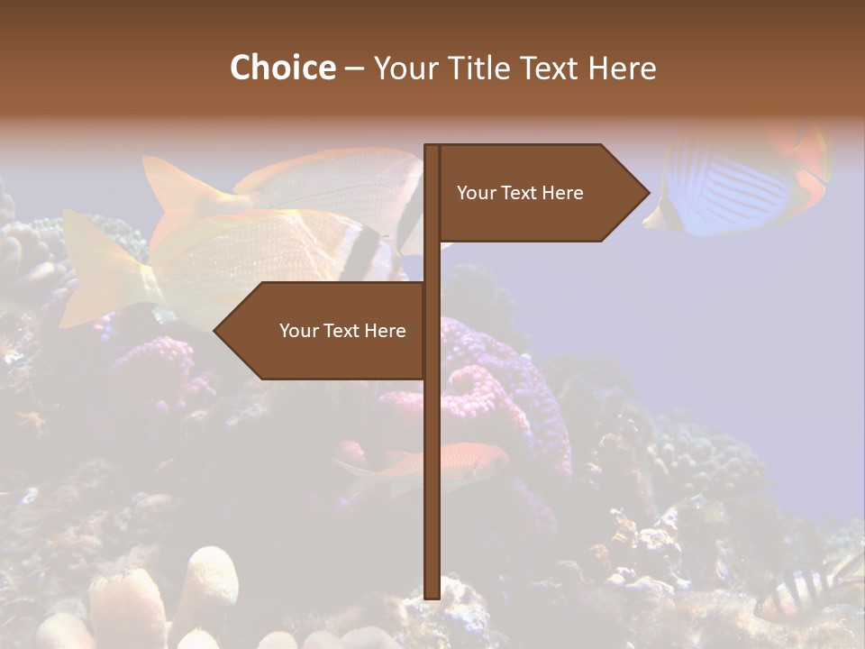 Underwater Coral Reef PowerPoint Template