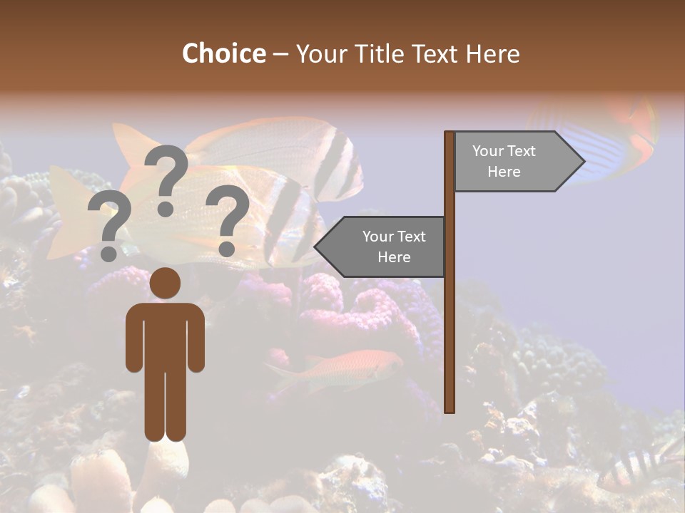 Underwater Coral Reef PowerPoint Template