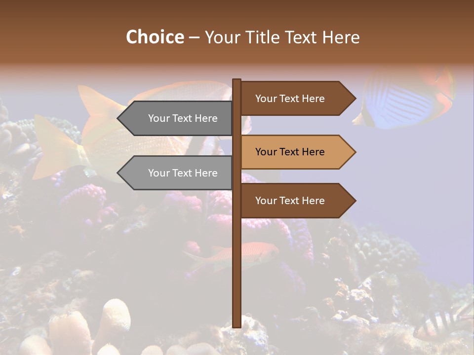 Underwater Coral Reef PowerPoint Template