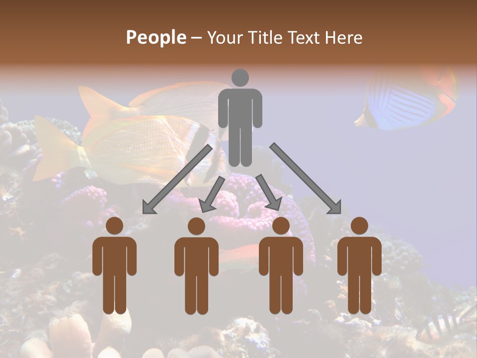 Underwater Coral Reef PowerPoint Template