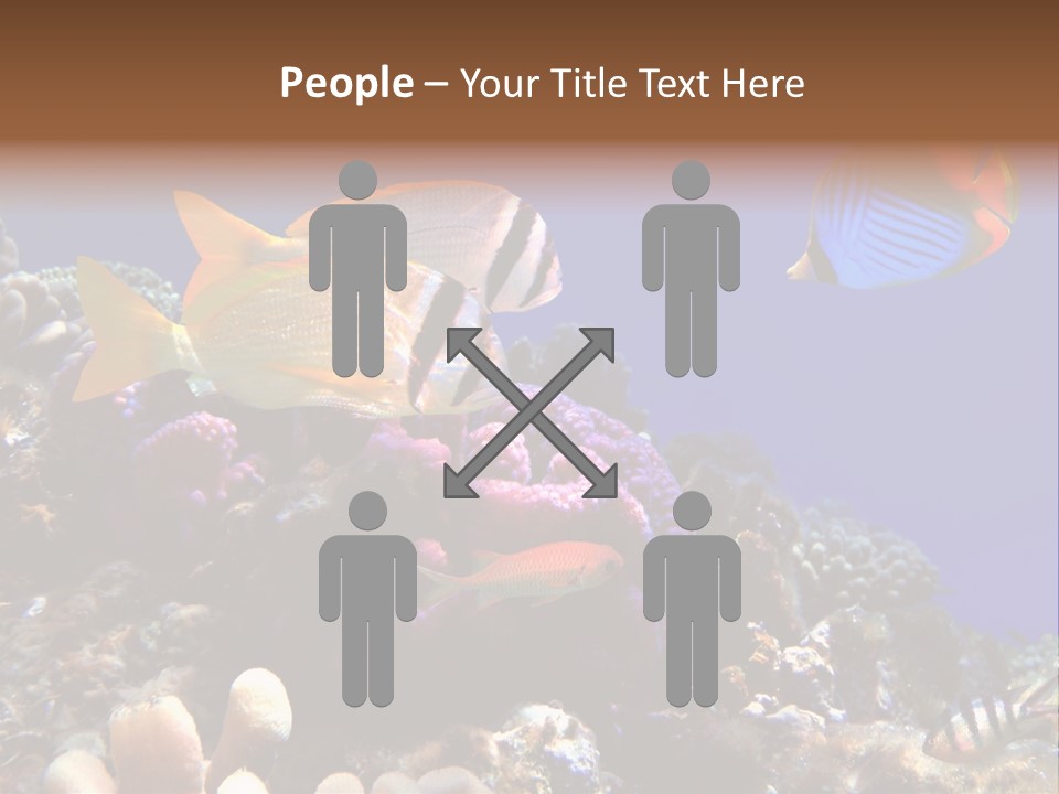 Underwater Coral Reef PowerPoint Template