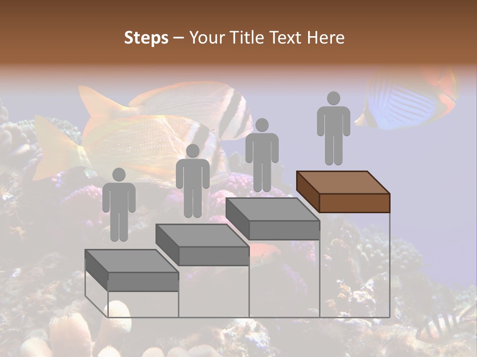 Underwater Coral Reef PowerPoint Template