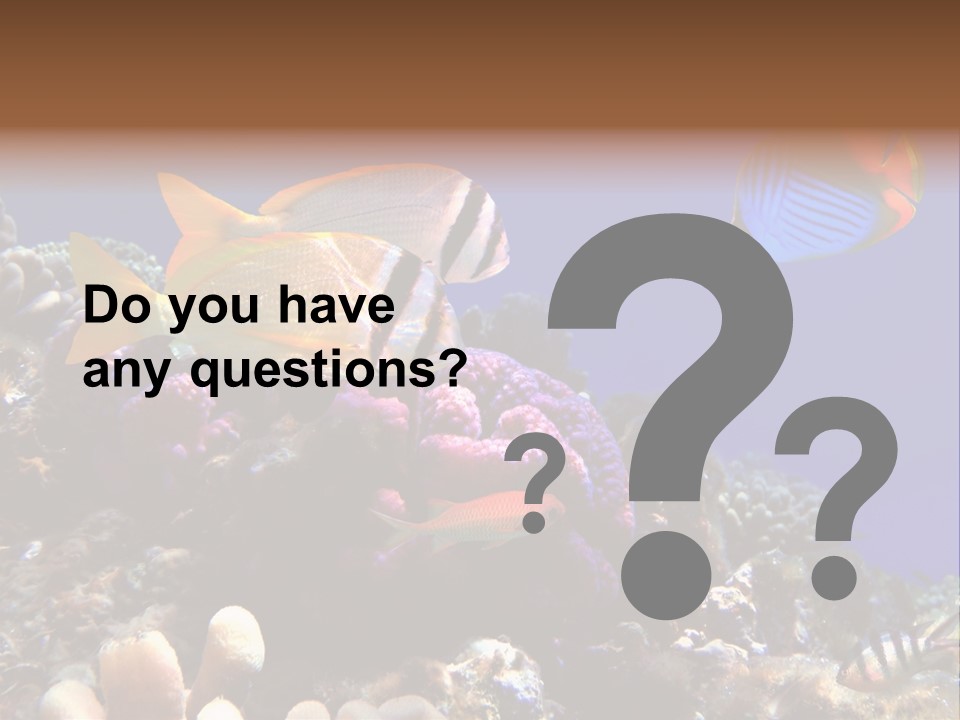 Underwater Coral Reef PowerPoint Template