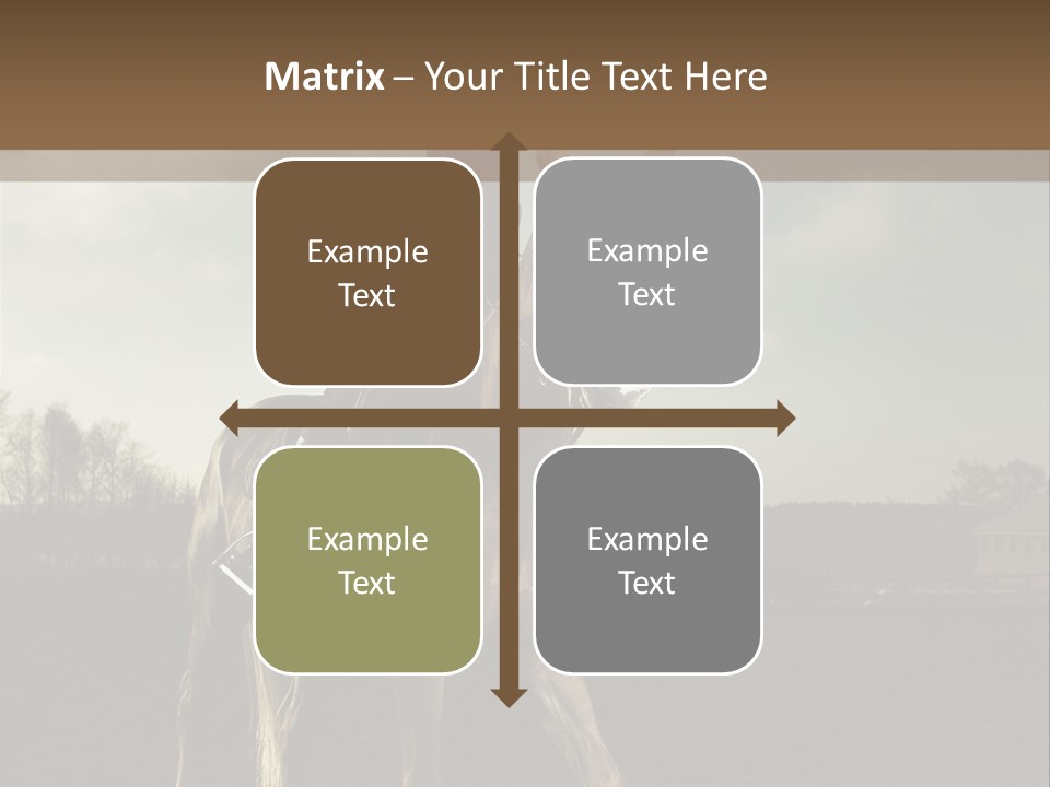 Rider Horse PowerPoint Template