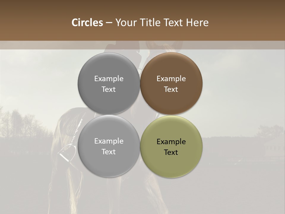 Rider Horse PowerPoint Template