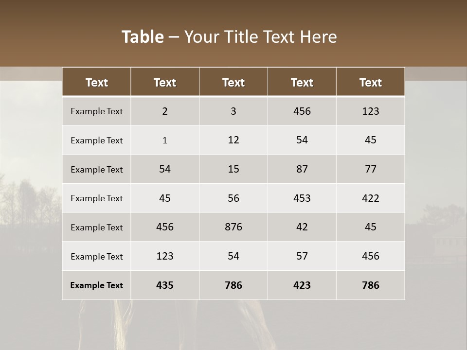 Rider Horse PowerPoint Template