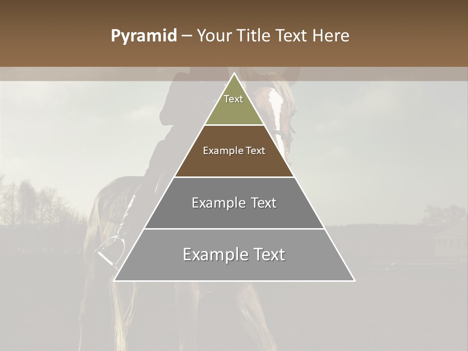 Rider Horse PowerPoint Template