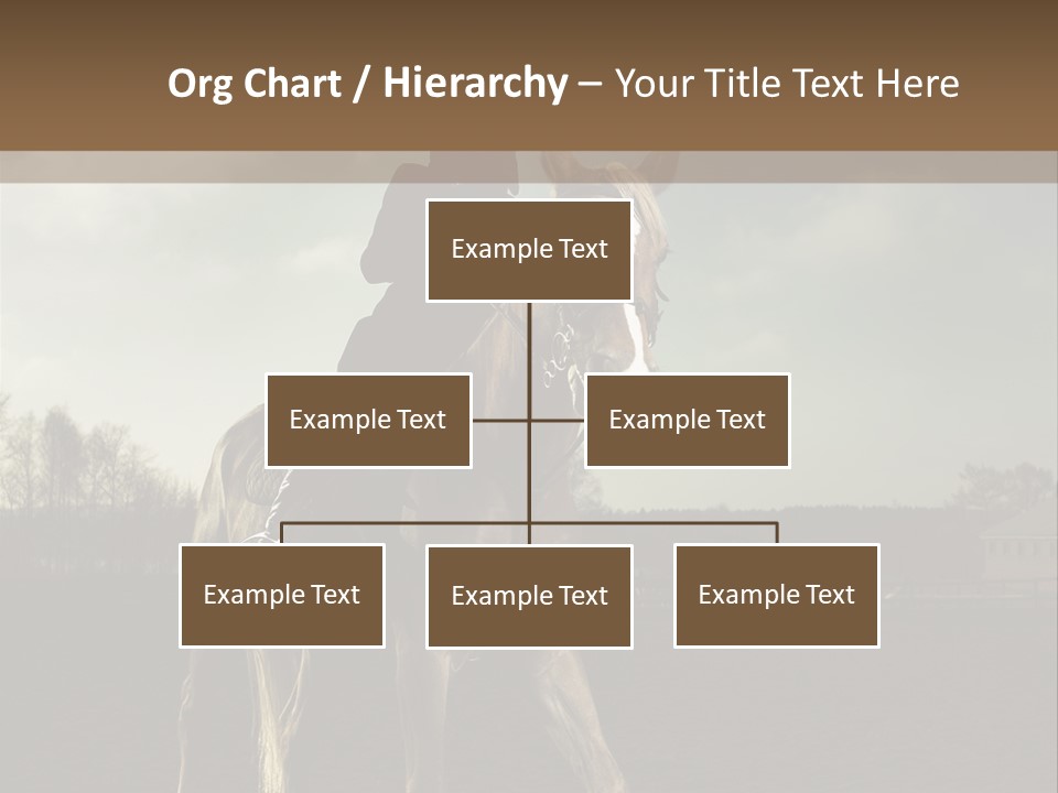Rider Horse PowerPoint Template