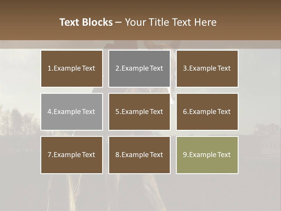 Rider Horse PowerPoint Template