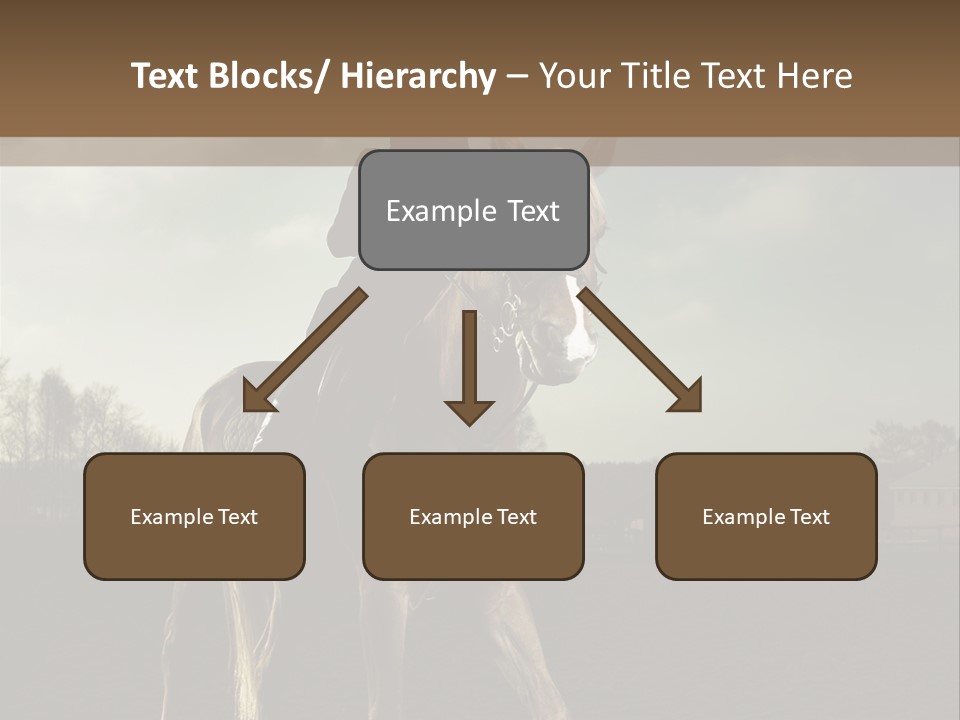Rider Horse PowerPoint Template