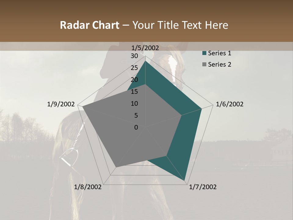 Rider Horse PowerPoint Template