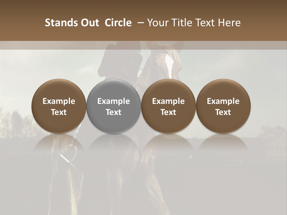 Rider Horse PowerPoint Template