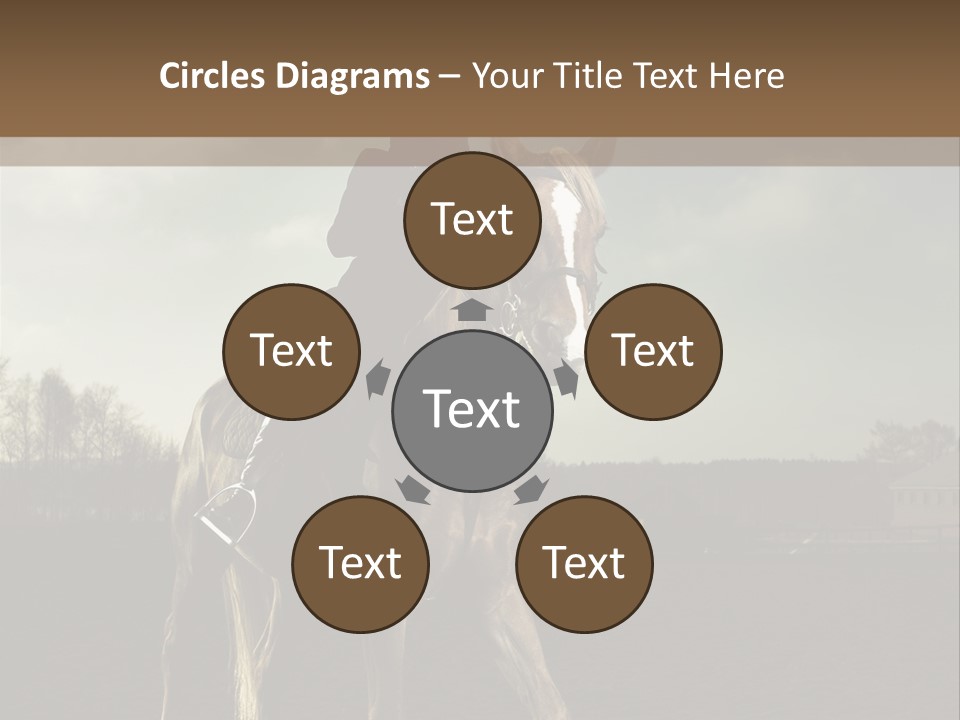 Rider Horse PowerPoint Template