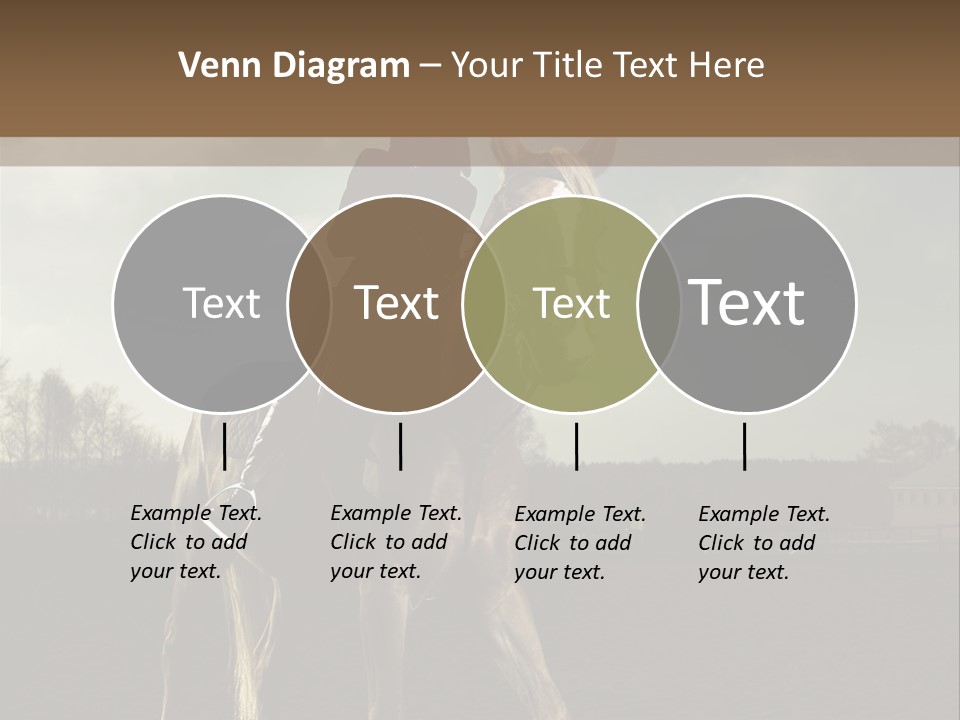 Rider Horse PowerPoint Template