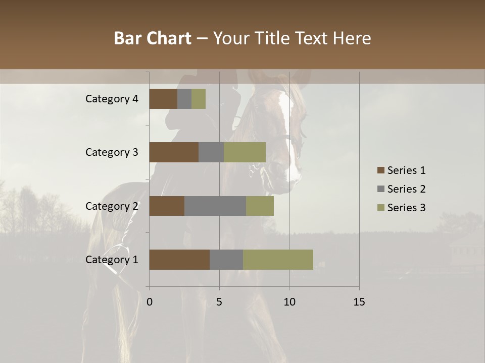 Rider Horse PowerPoint Template