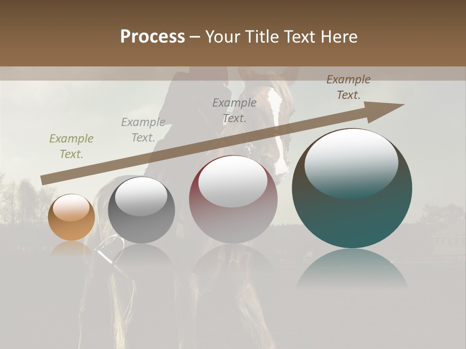 Rider Horse PowerPoint Template