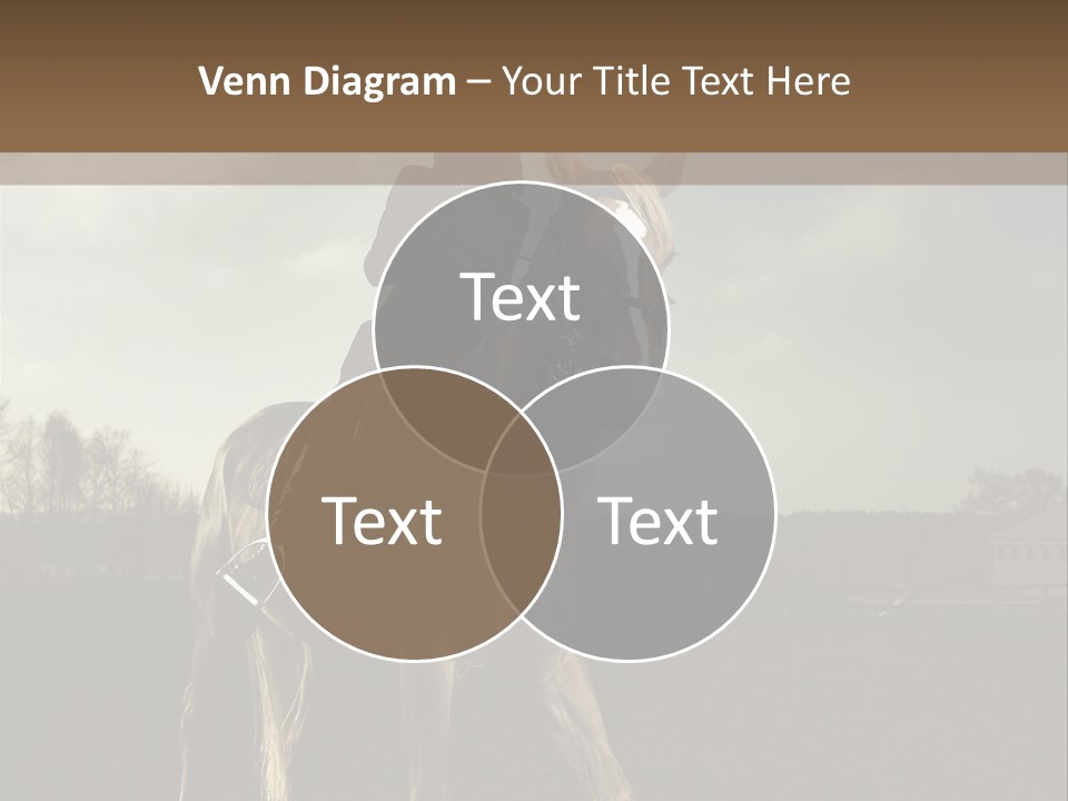 Rider Horse PowerPoint Template