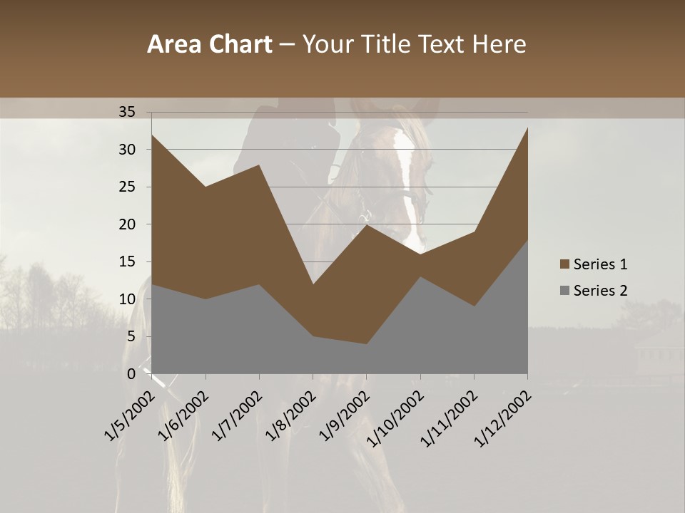 Rider Horse PowerPoint Template