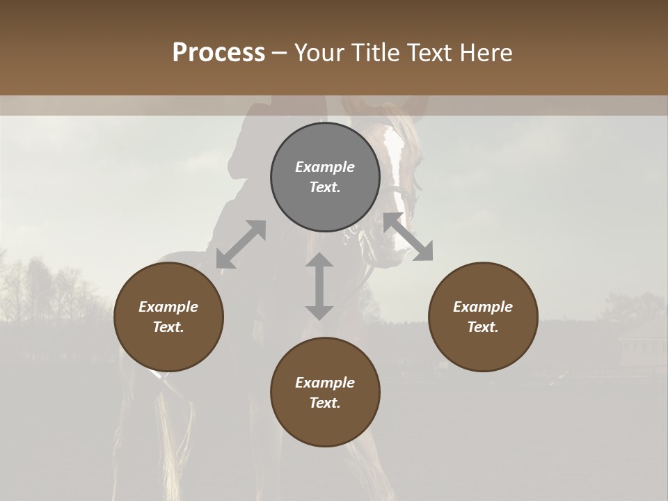 Rider Horse PowerPoint Template