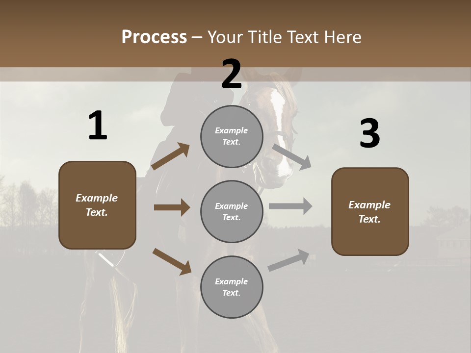 Rider Horse PowerPoint Template