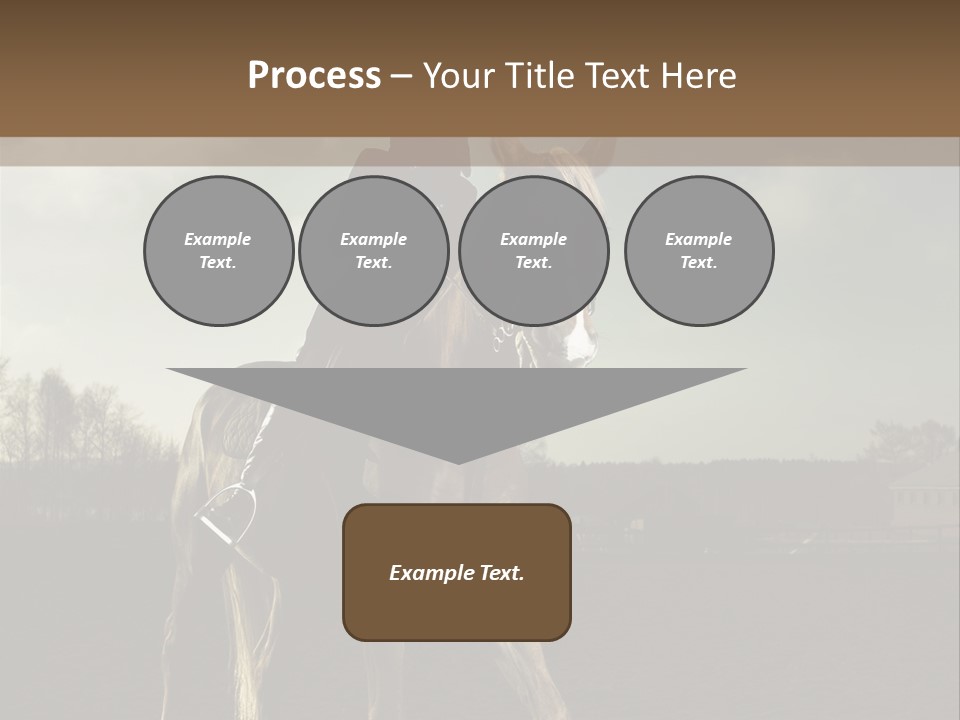 Rider Horse PowerPoint Template