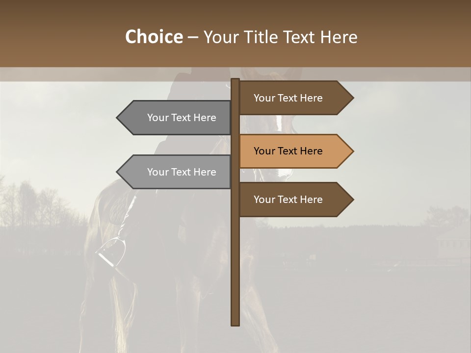 Rider Horse PowerPoint Template