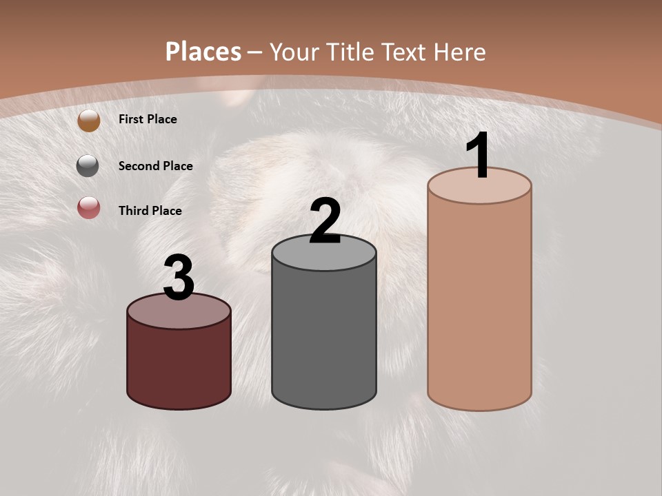 Fur Coat For Women PowerPoint Template